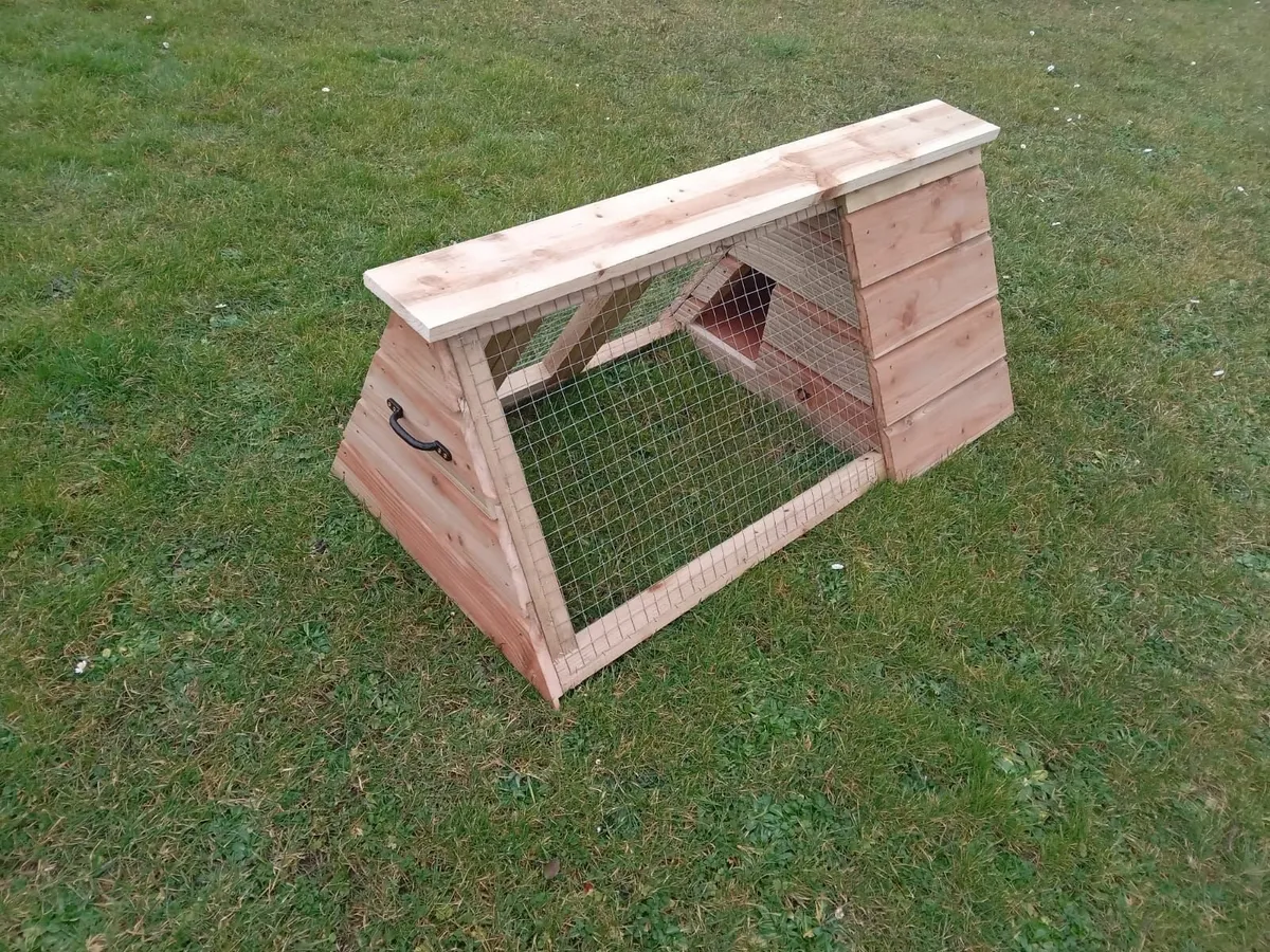 Rabbit Hutch - 💥Nationwide Delivery💥 - Image 3
