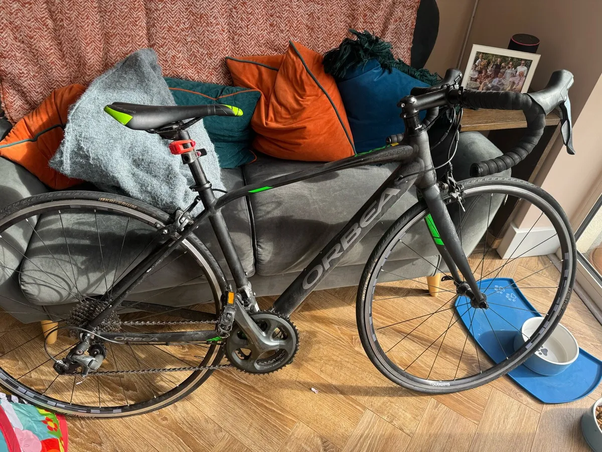 Orbea Racing Bike - Image 1