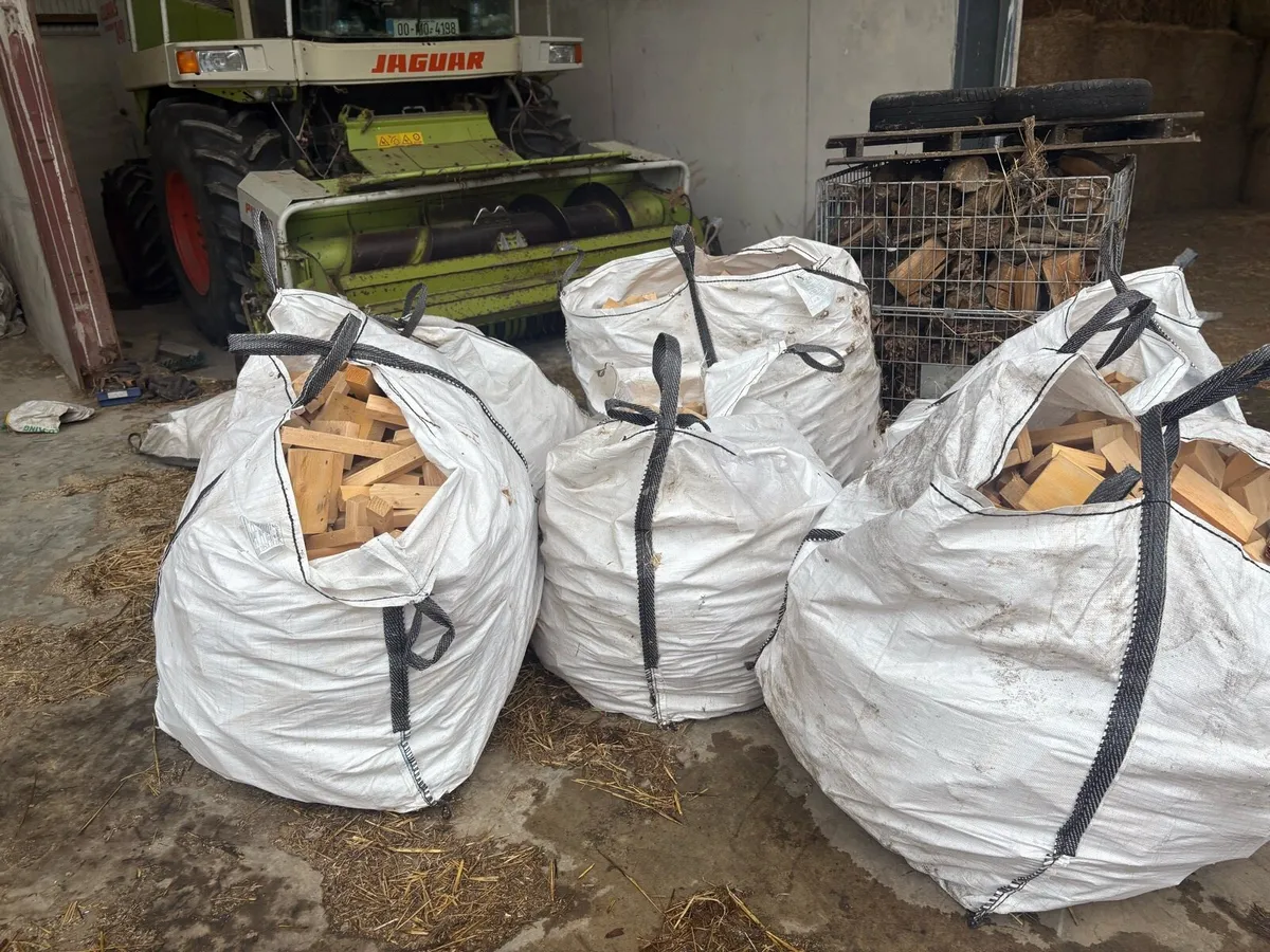 Firewood - Image 3