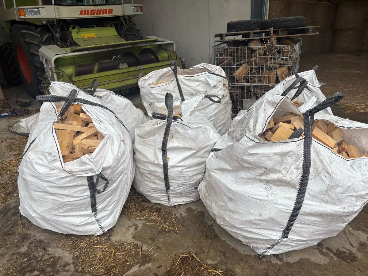 Firewood - Image 4