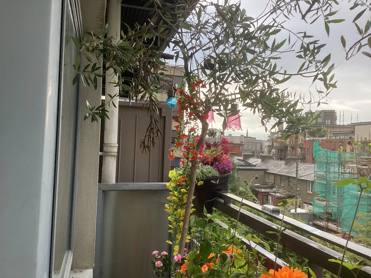 Gardening - Image 1