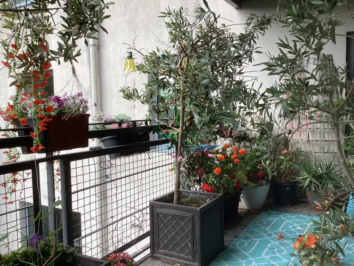 Gardening - Image 2