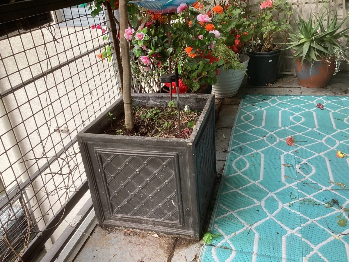 Gardening - Image 3