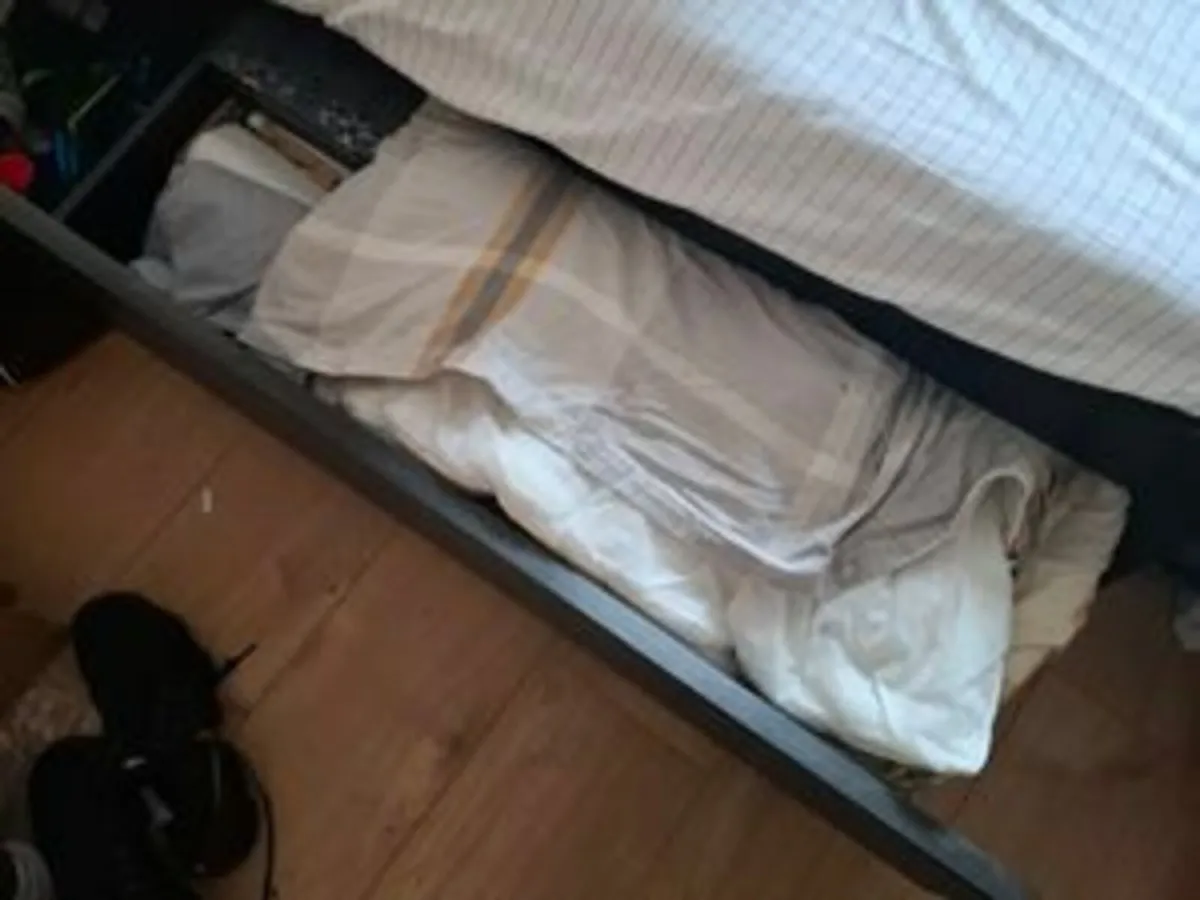 Ikea Daybed - Image 1