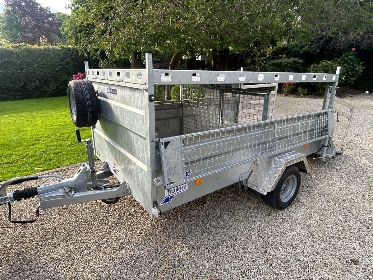 2024 Ifor Williams 8x5 Q8b Braked Single Axle - Image 2