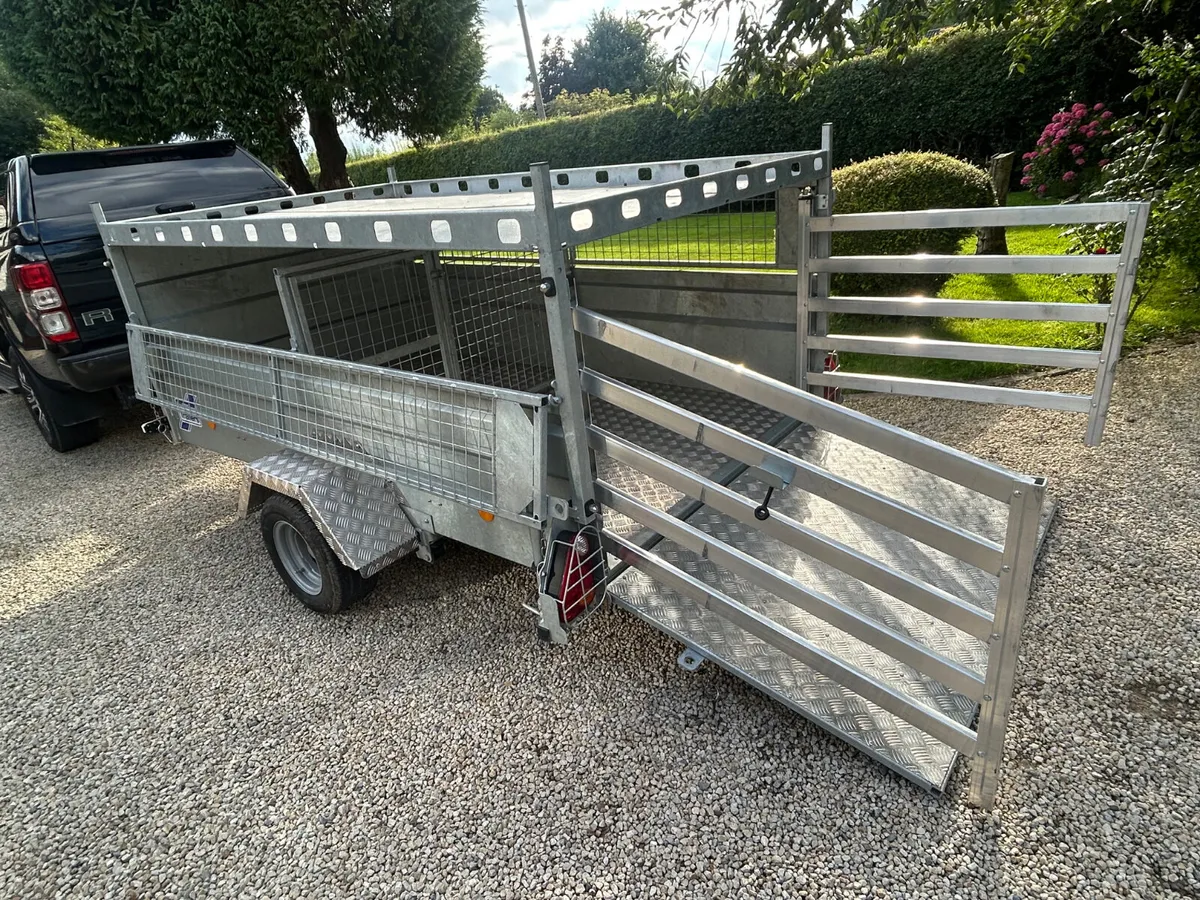 2024 Ifor Williams 8x5 Q8b Braked Single Axle - Image 3