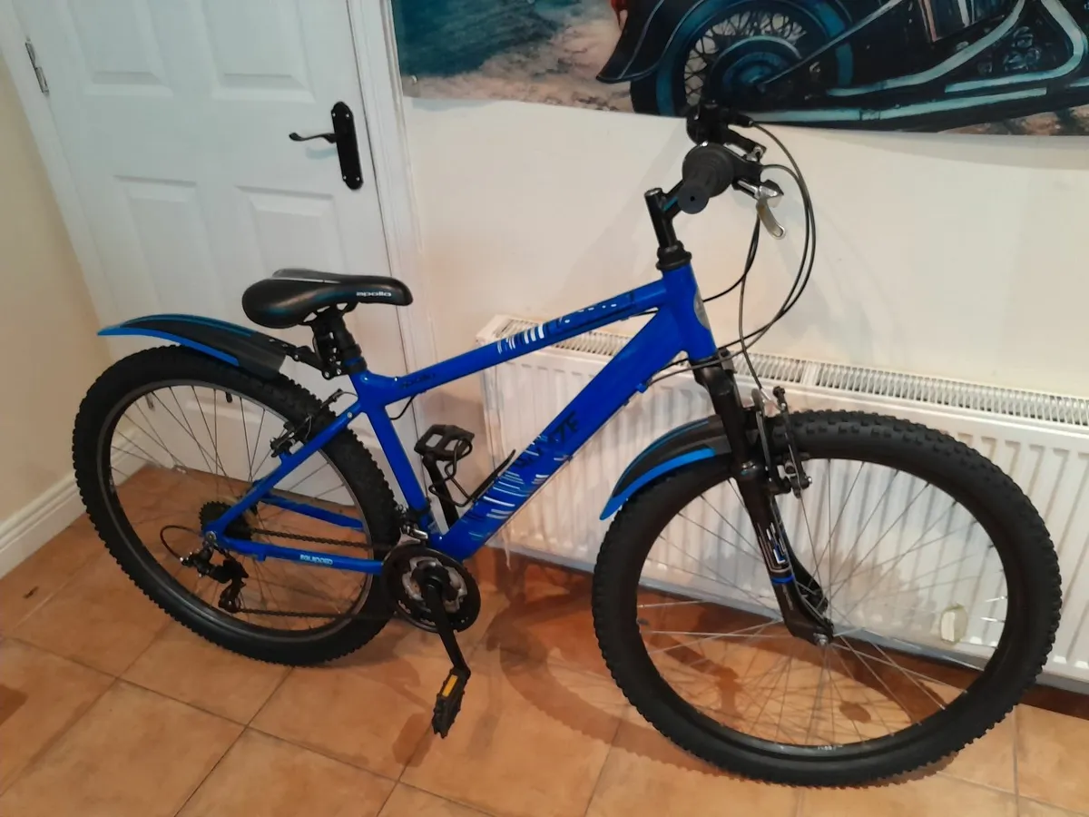 Bicycle - Image 1