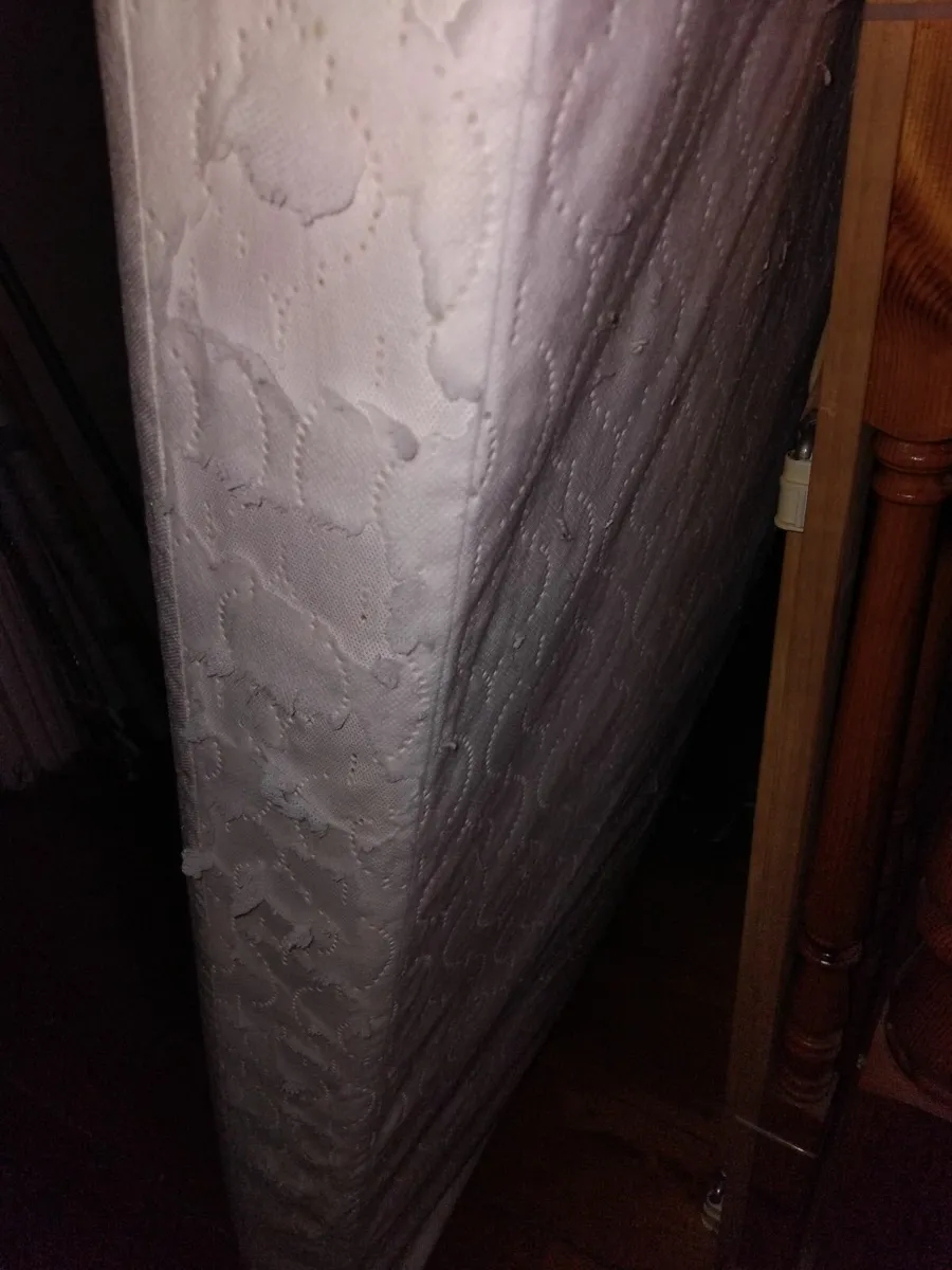 Castlemaine - Cot bed toddler mattress 140 x 70 cm - Image 2