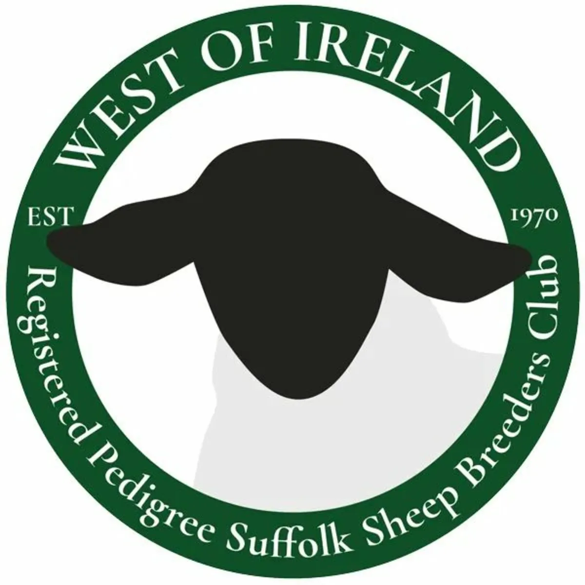 Pedigree Suffolk Rams - Image 3