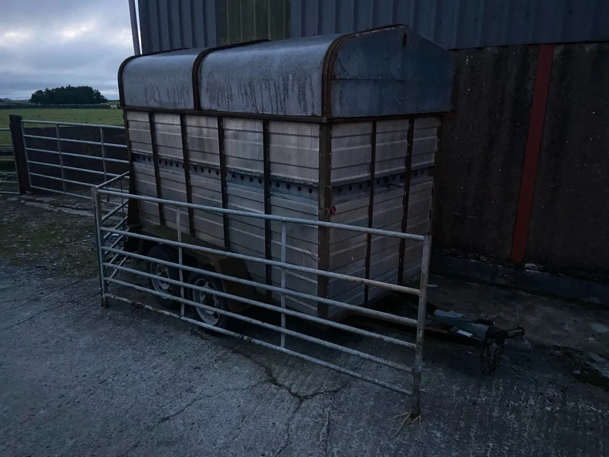 Cow box 8x4 - Image 1
