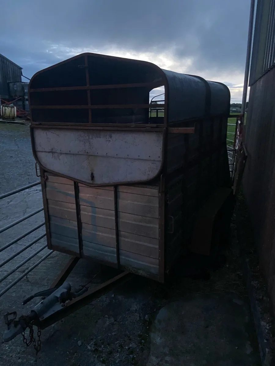 Cow box 8x4 - Image 2
