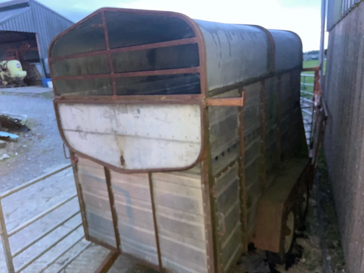 Cow box 8x4 - Image 3