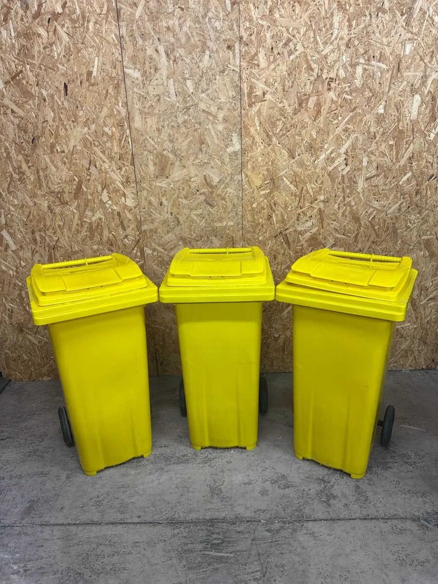 Wheelie Bin Special - Image 2