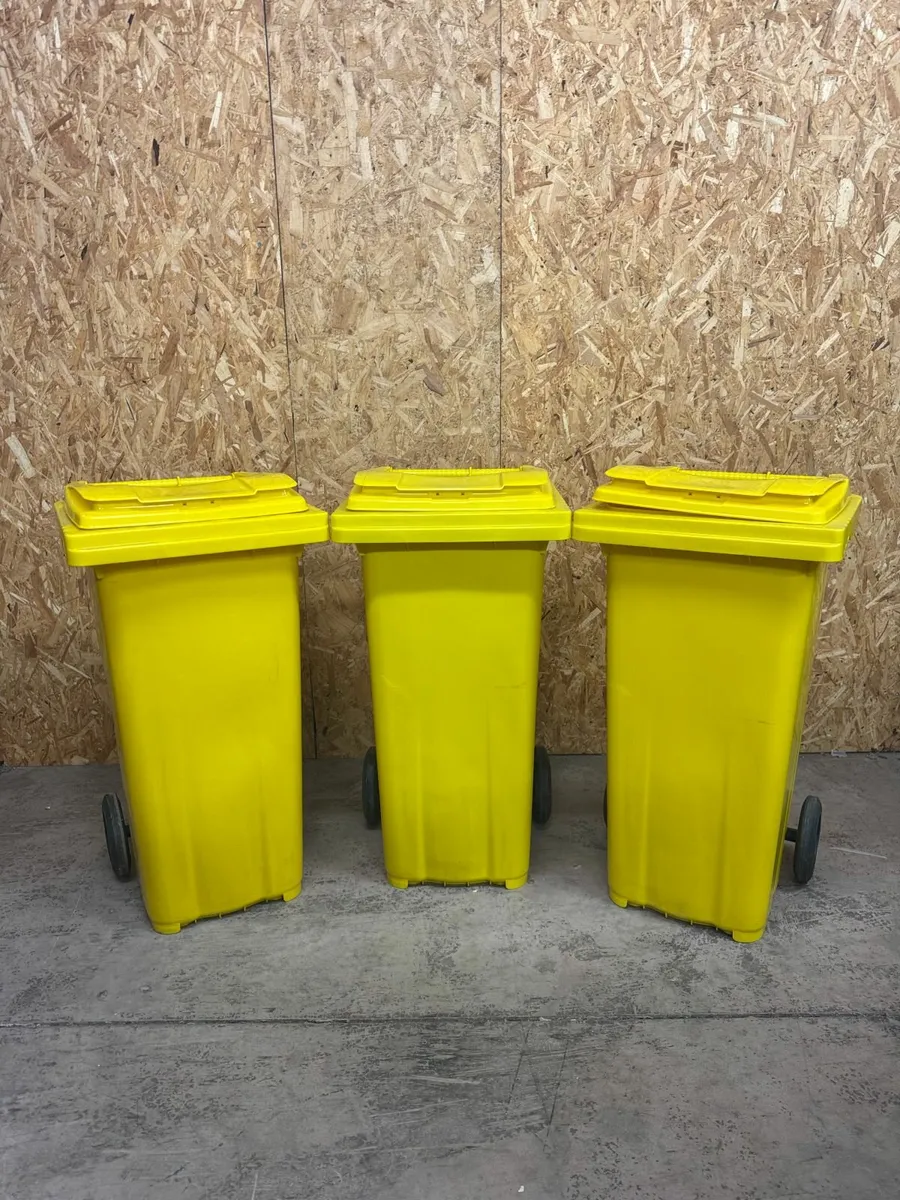 Wheelie Bin Special - Image 3