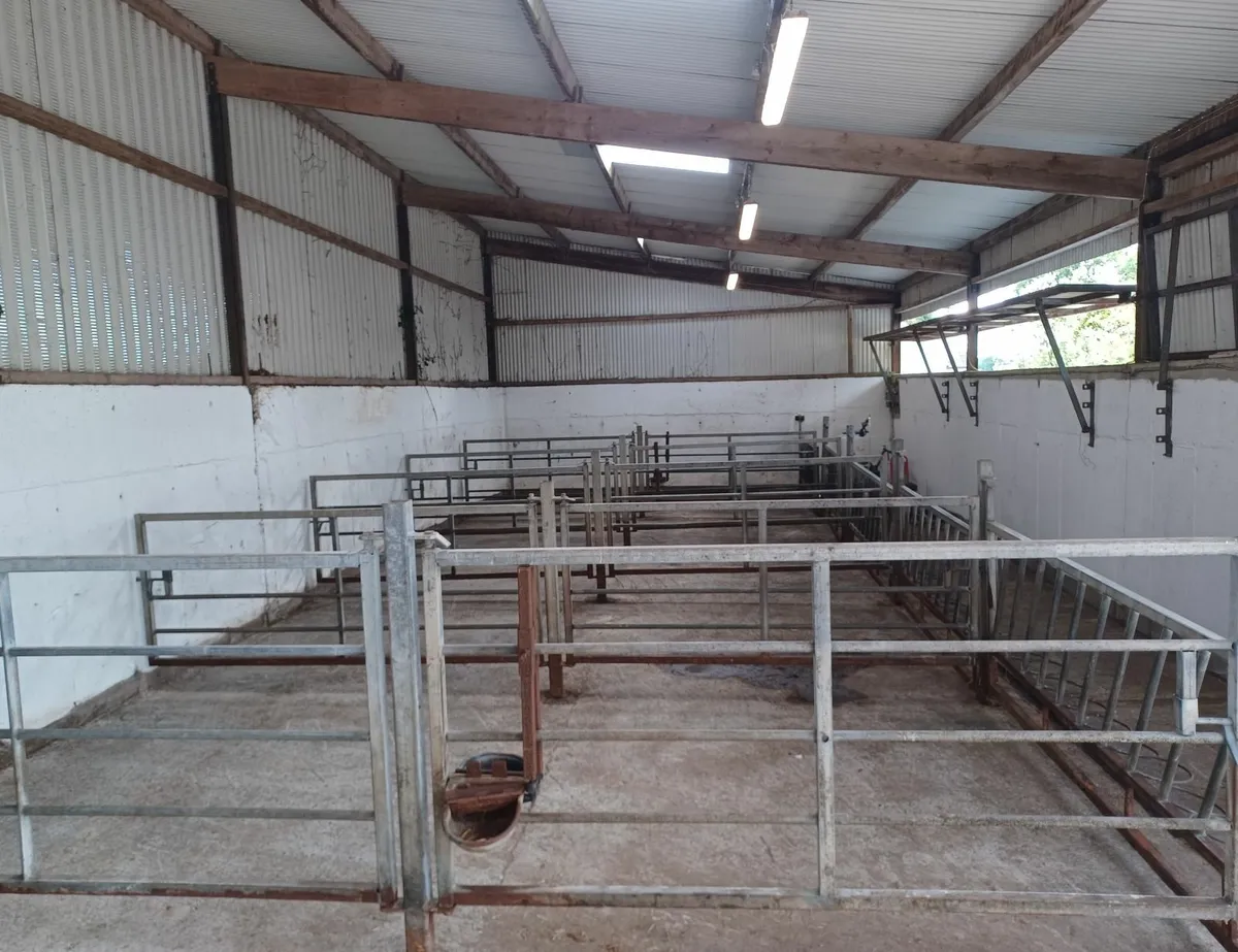 Calf house gates for sale - Image 1