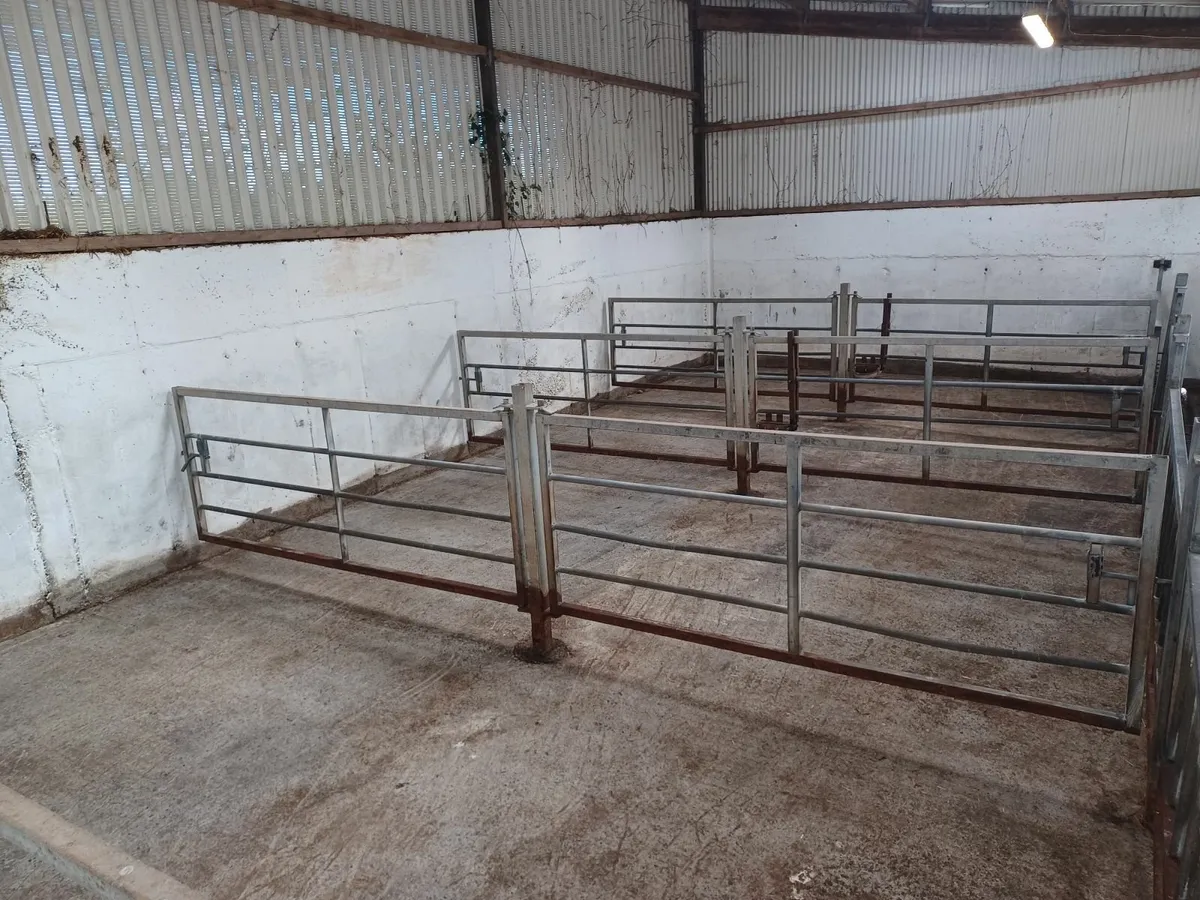 Calf house gates for sale - Image 2