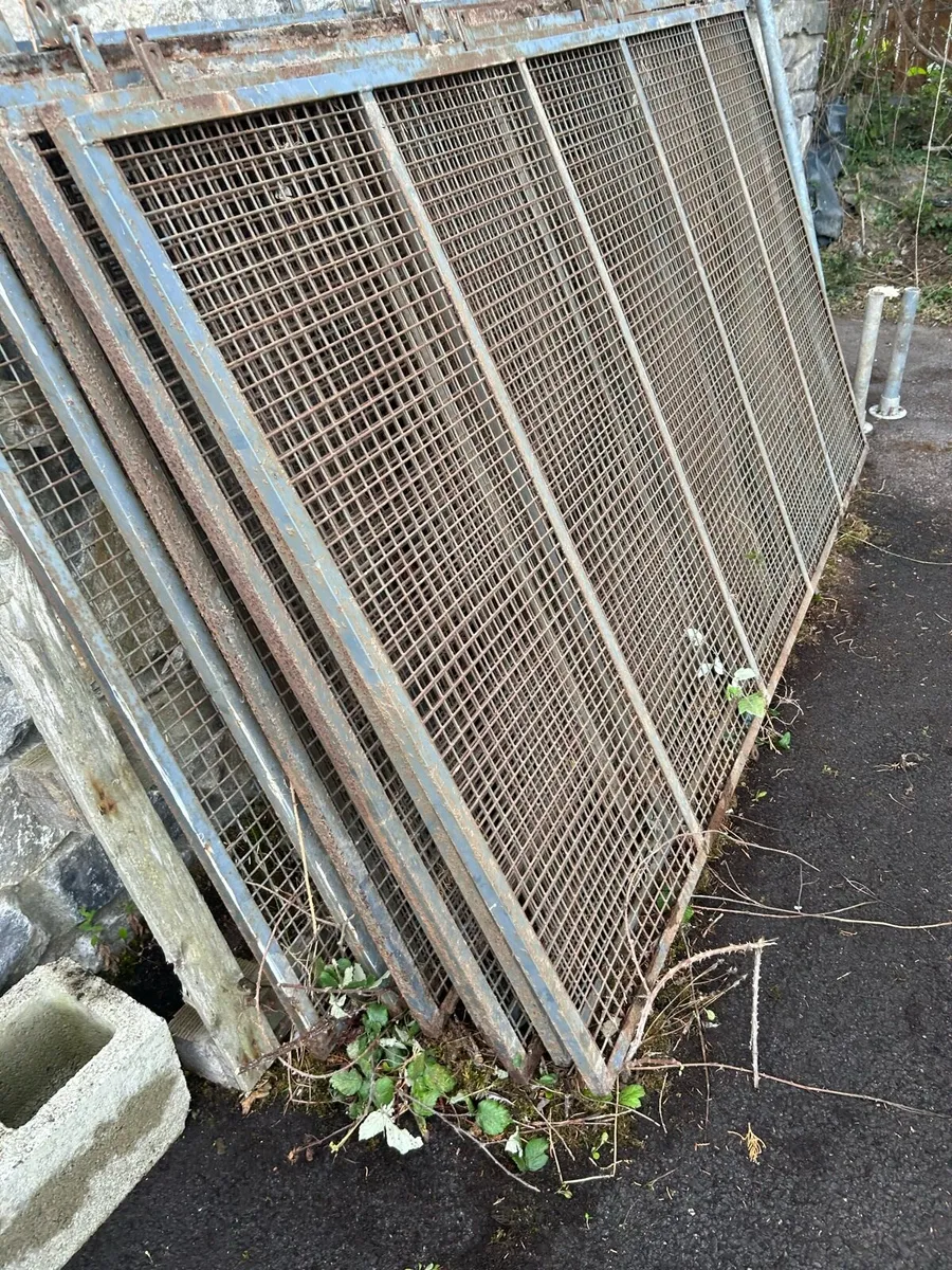 Window Guards with mesh - Image 2