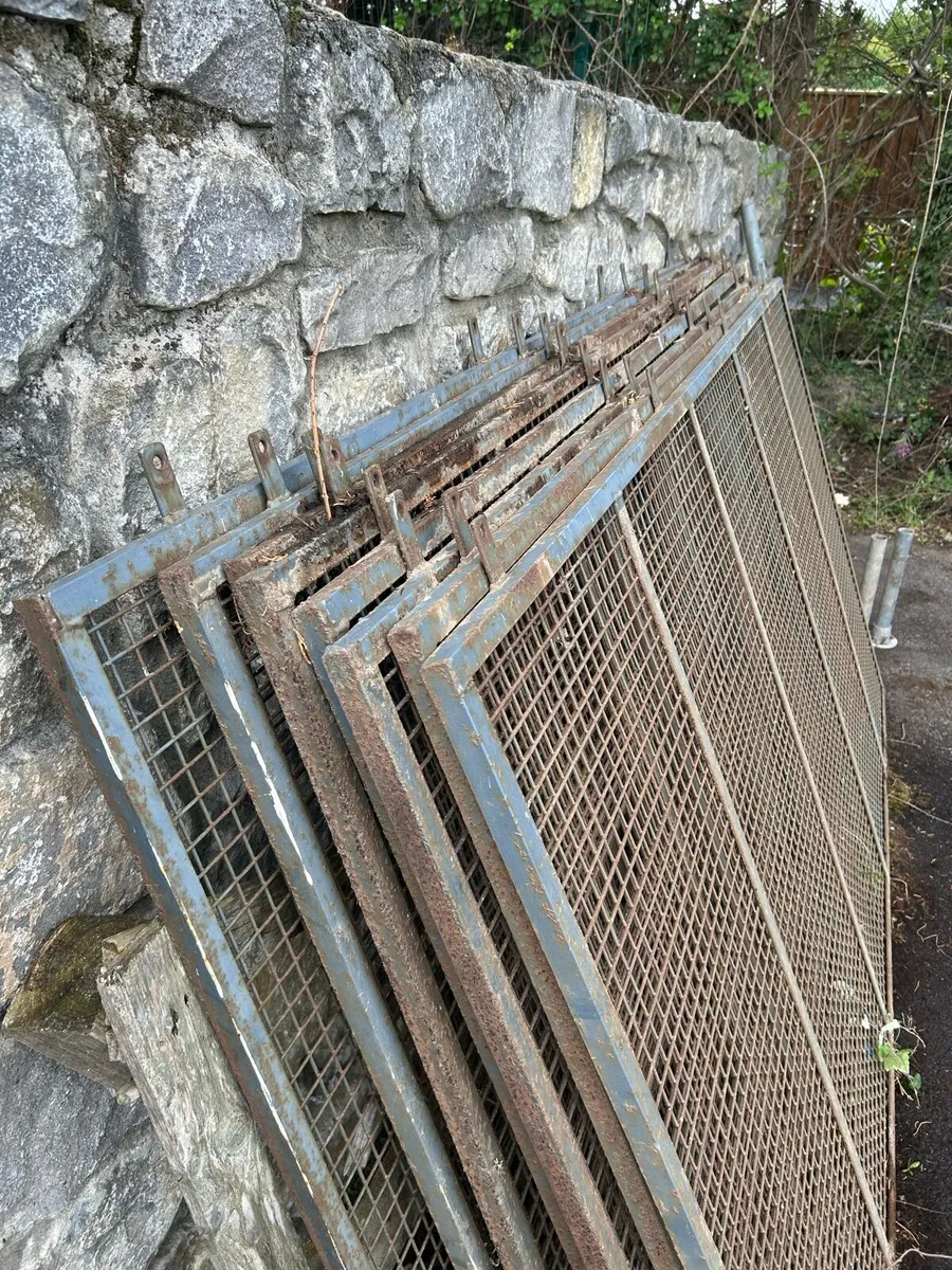 Window Guards with mesh - Image 3