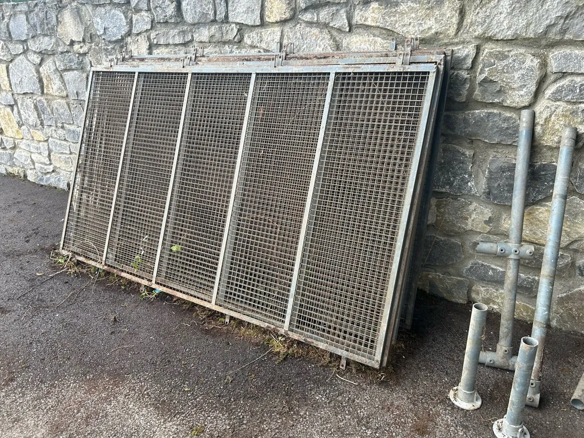 Window Guards with mesh - Image 1