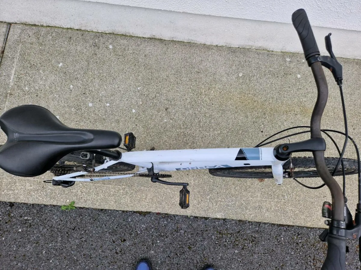 Orbea Bike - Image 3