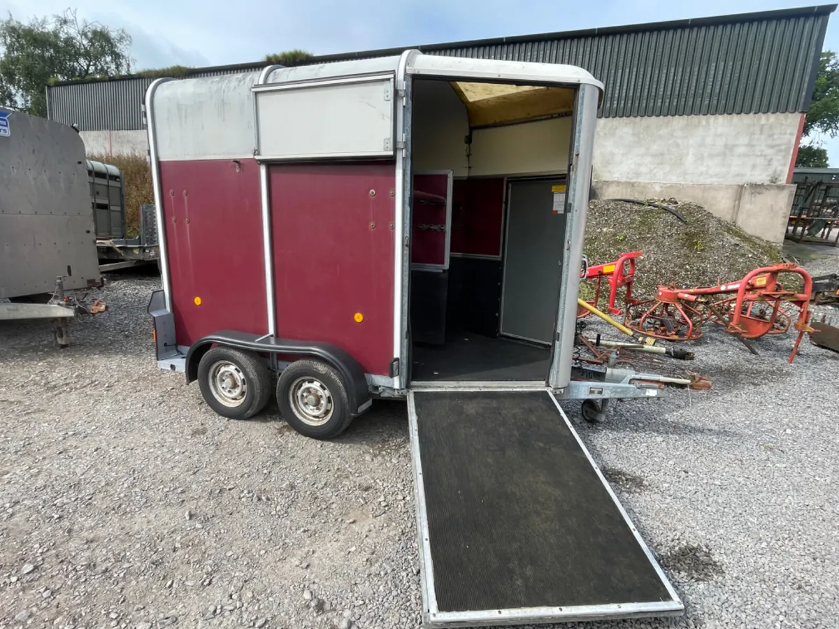 Ifor Williams 505 Horsebox - Image 2