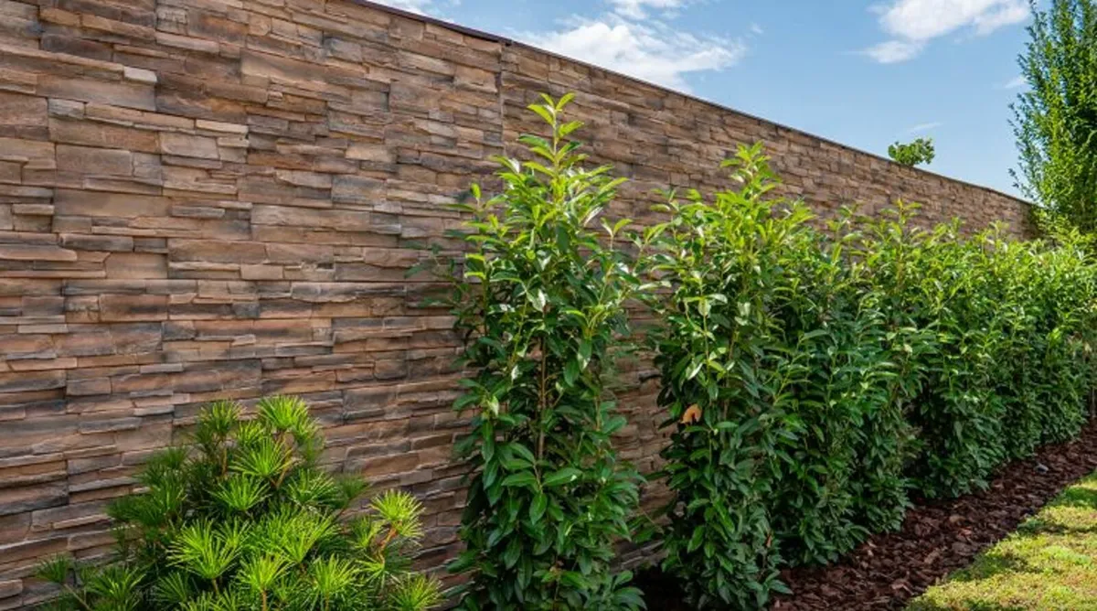 Grenada Russet – Internal & External Stone - Image 2