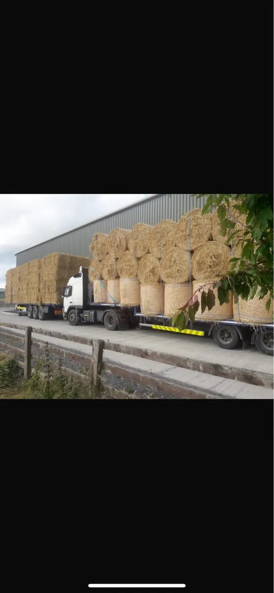 Wheaten straw