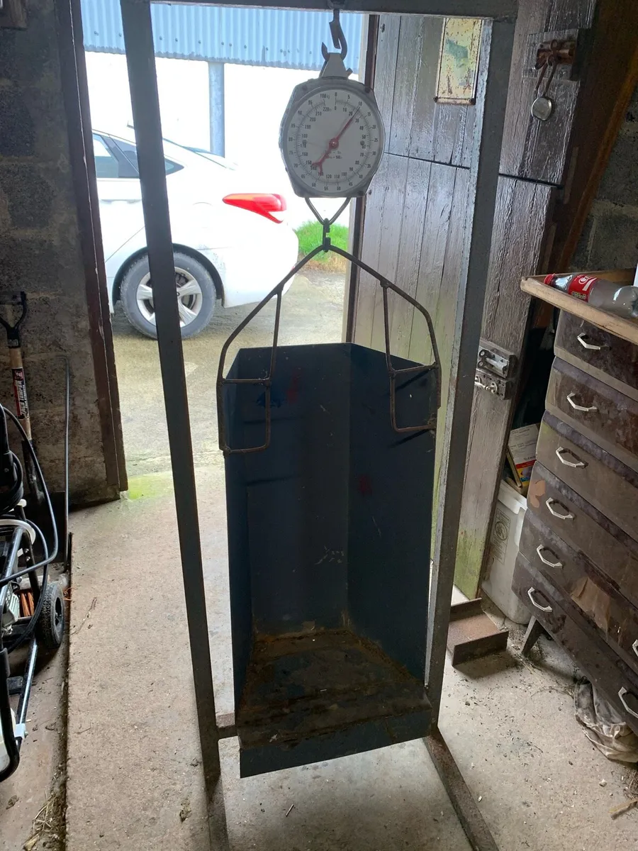 Lamb/sheep weighing scales - Image 2