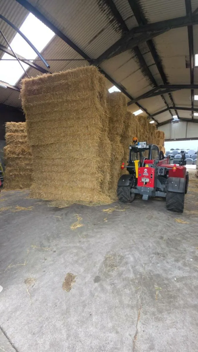 Golden Barley Straw **Square+Rounds** - Image 1