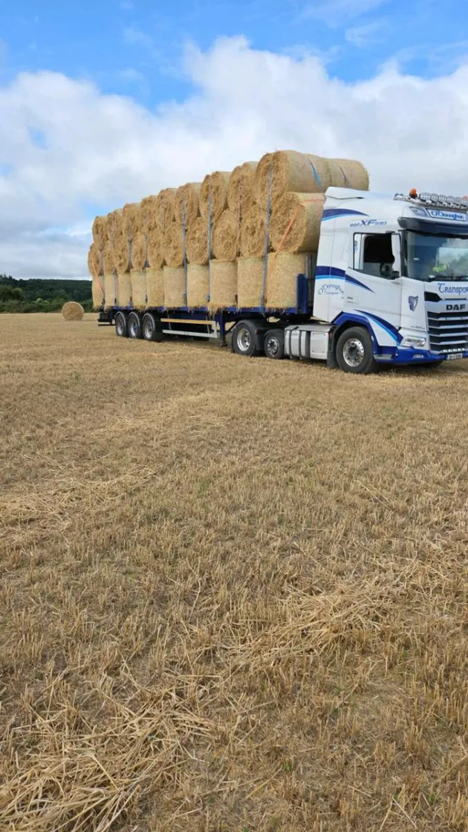 Straw - Image 1