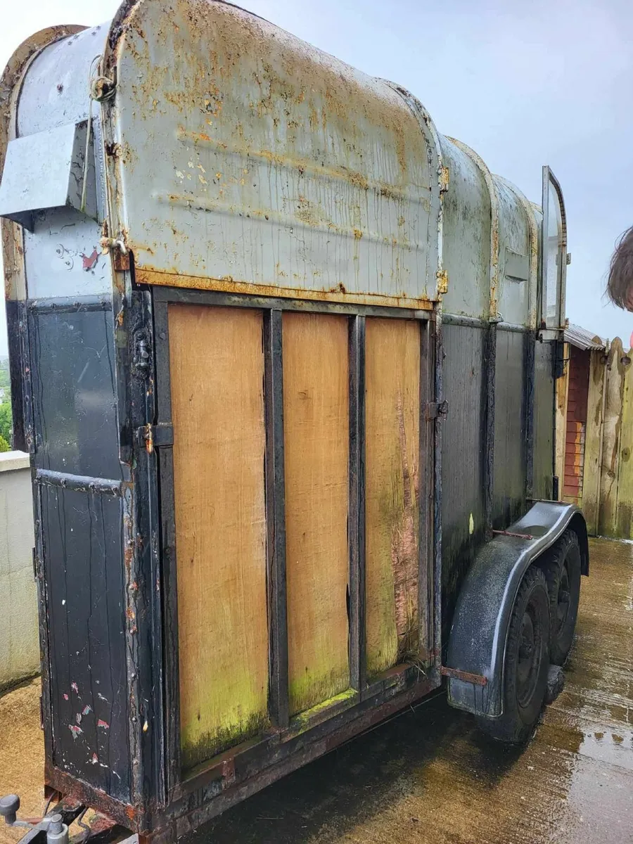 Single horse box - Image 2