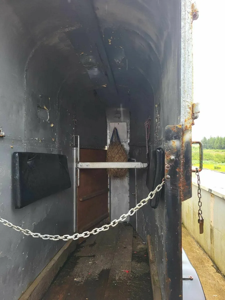 Single horse box - Image 4