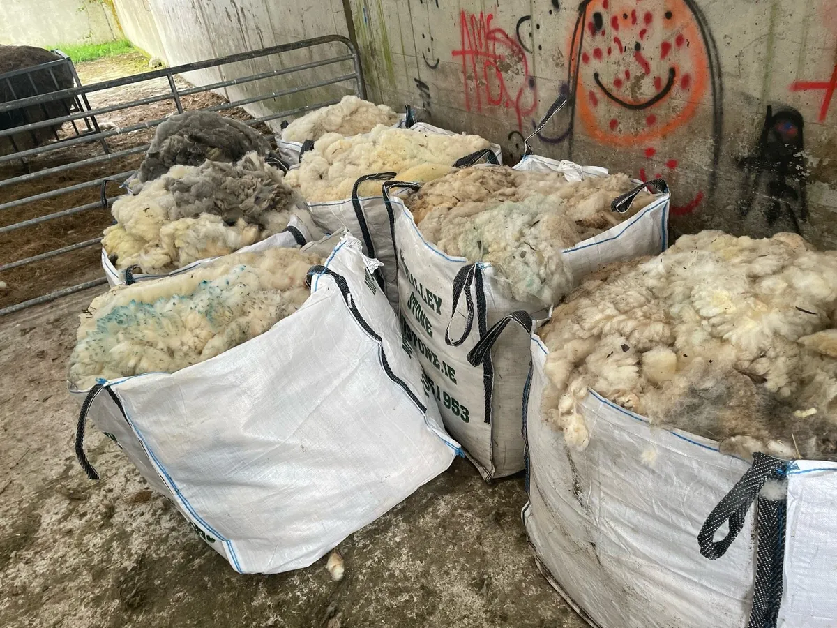 Sheep Wool - 7 Bags (70 fleeces)