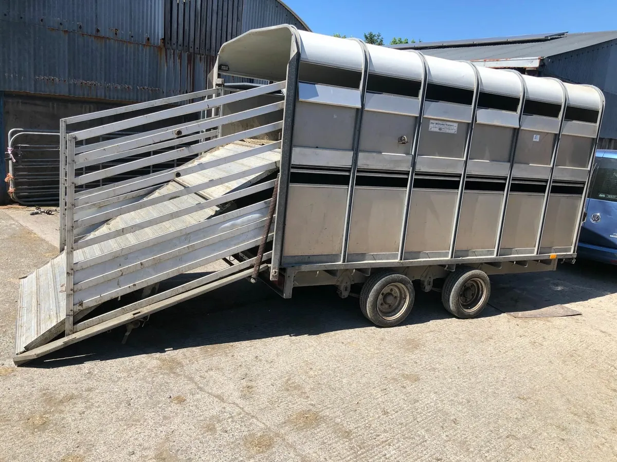Ifor Williams 12x6'x6'' Trailer w/ sheep decks - Image 1