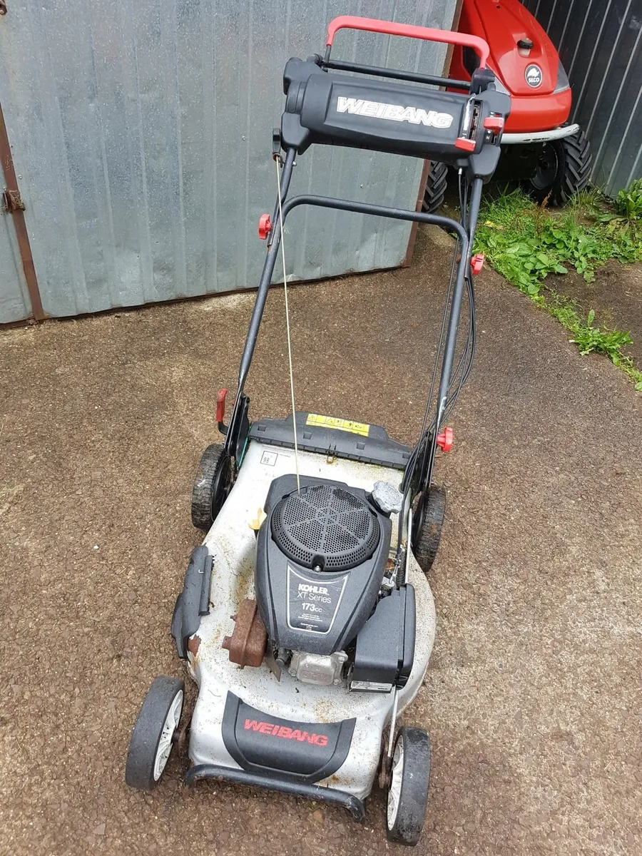 LAWNMOWER WEIBANG - FOR SALE - Image 2