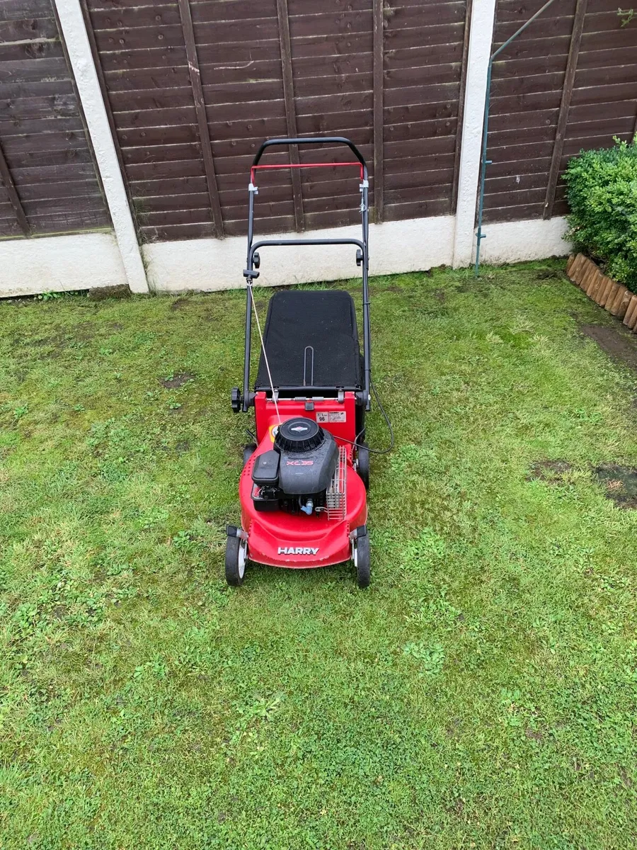 Lawnmower - Image 2