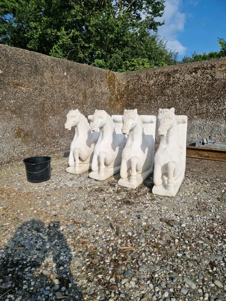 White horses