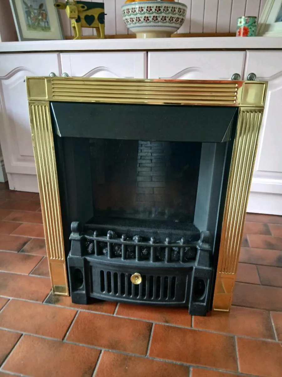 Electric insert fire - Image 1