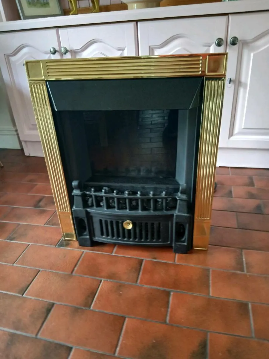 Electric insert fire - Image 2