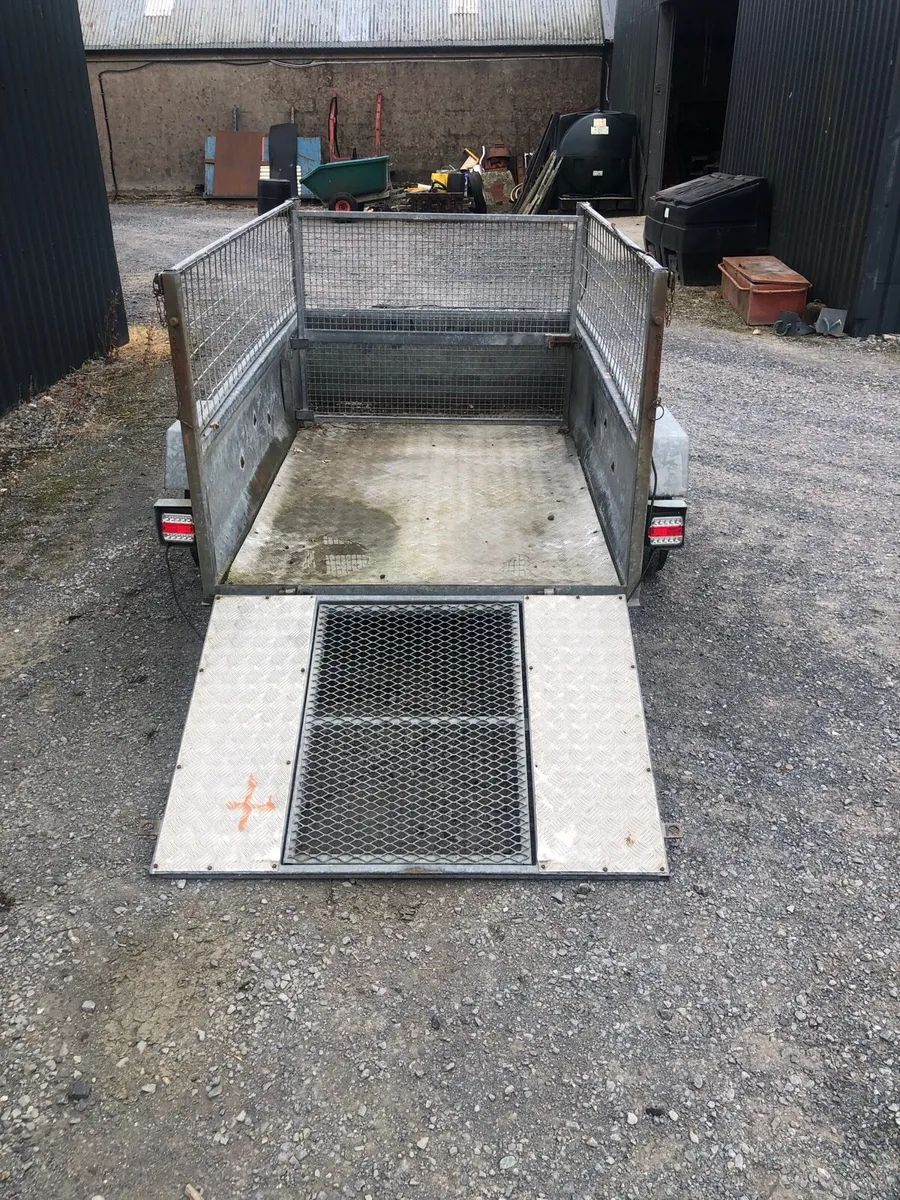 Car Quad sheep trailer - Image 1