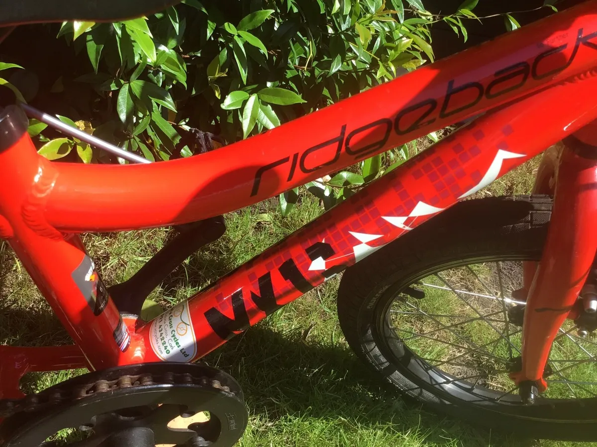 Quality Aluminium Ridgeback Bike - Image 4