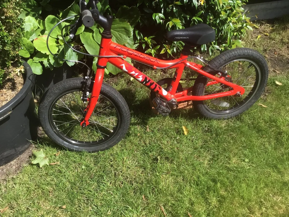 Quality Aluminium Ridgeback Bike - Image 1