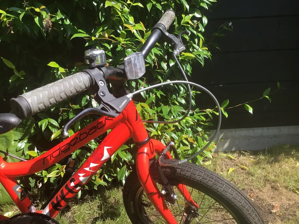 Quality Aluminium Ridgeback Bike - Image 2
