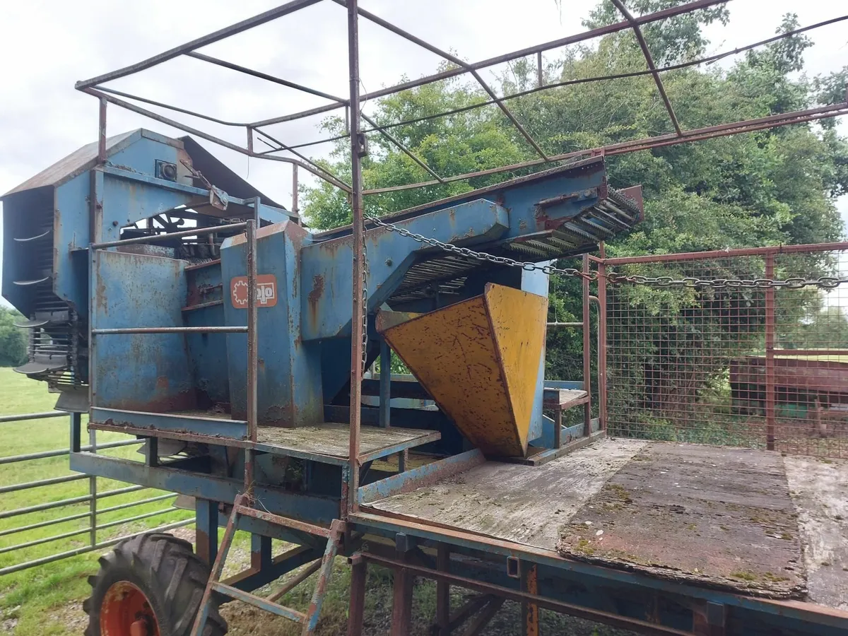 Potato Harvester KEY-AG SOLO OFFSET - Image 2
