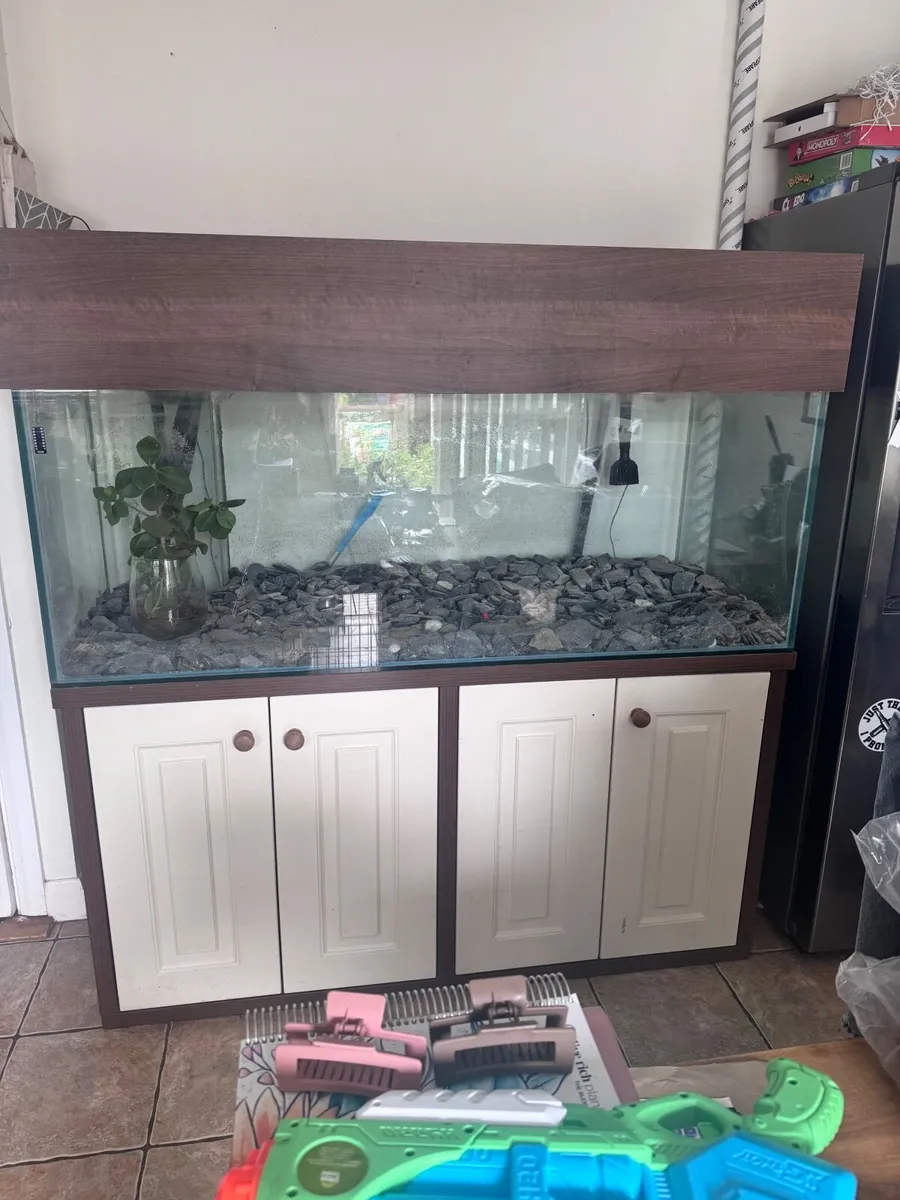 Fish tank - Image 1