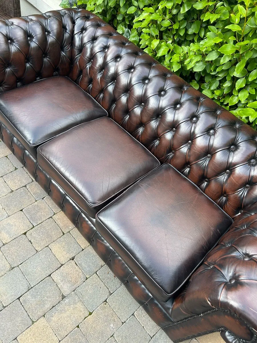 Chestnut brown 3 seater chesterfield sofa - Image 3