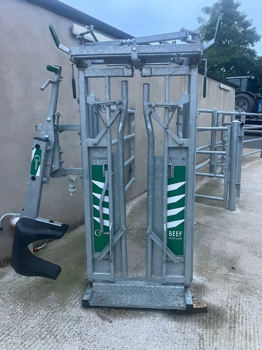 Crush gate& scoop - Image 4