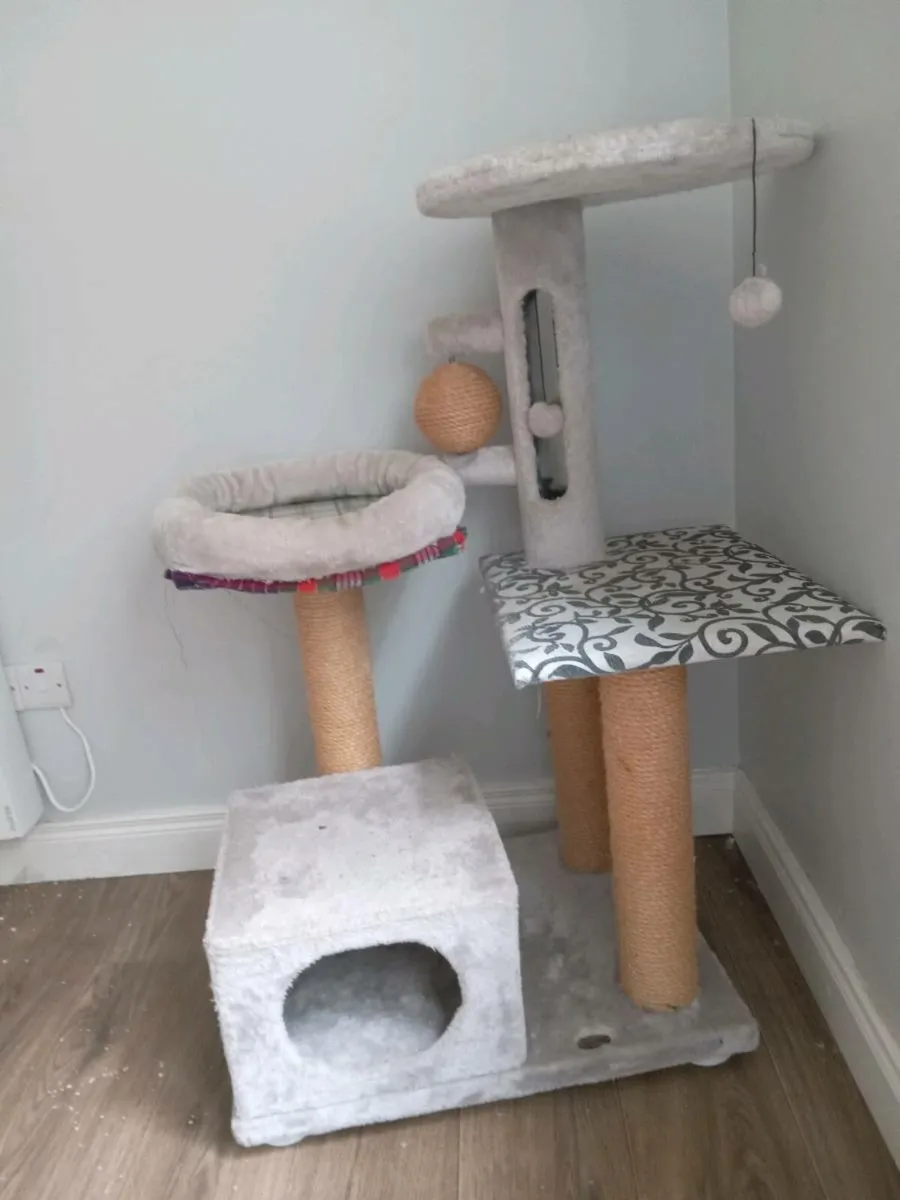 Cats scratching post large