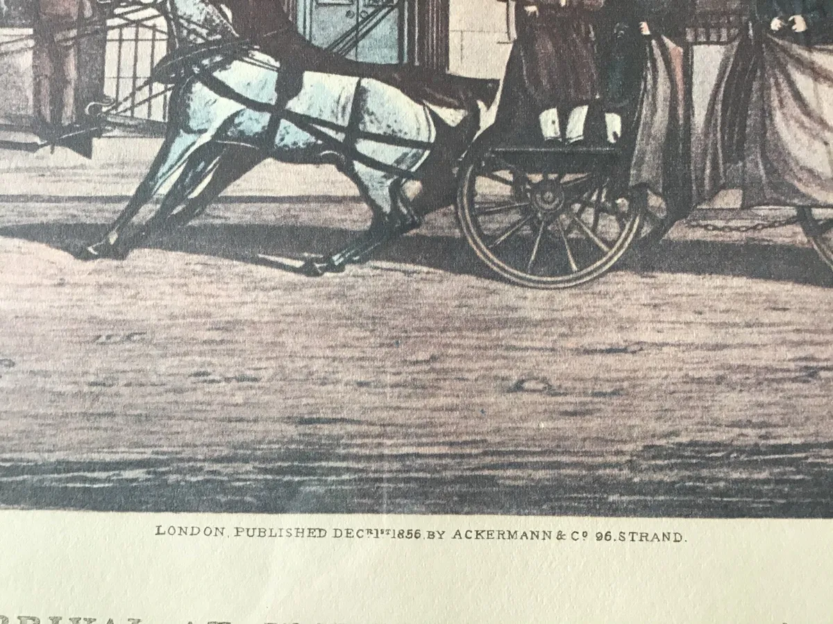 Historical Picture-Bianconi’s Establishment 1856 - Image 4