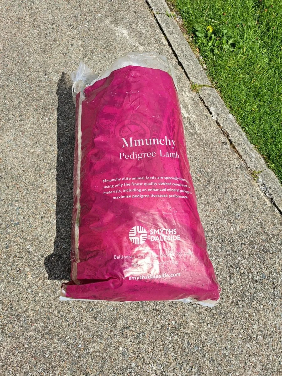 Plastic  Bags